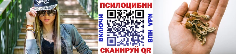 MEGA как зайти  Урай  Псилоцибиновые грибы Psilocybe 